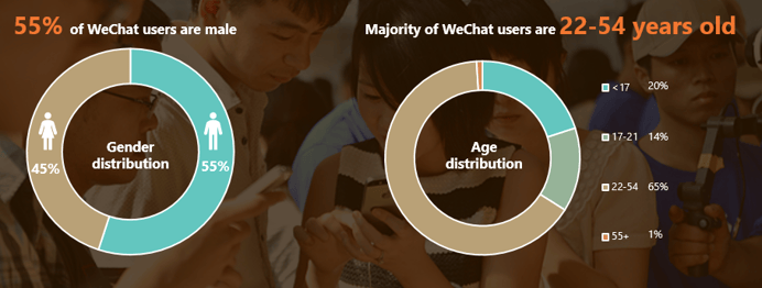 WeChat user demographic