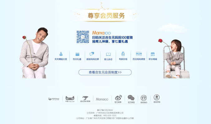 Chinese website design
