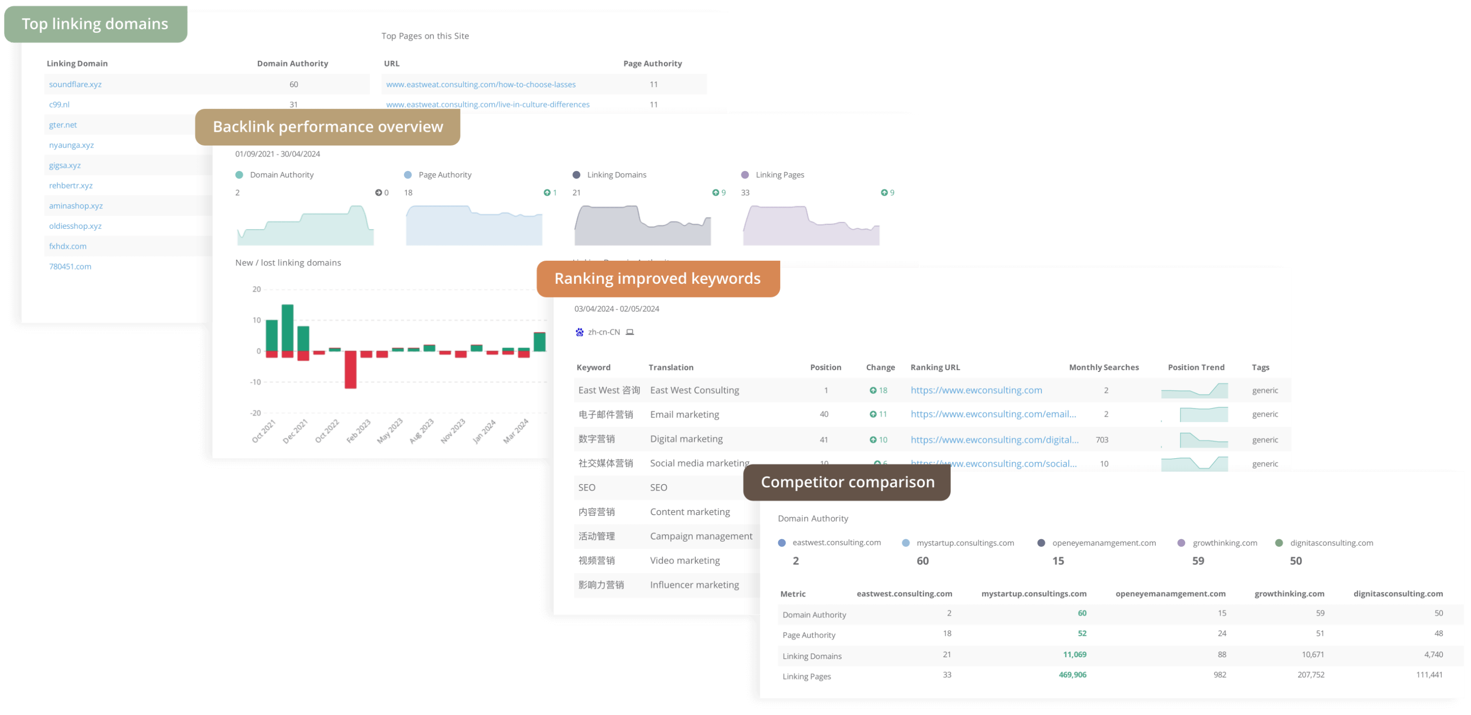 SEO reports from the Sinorbis platform