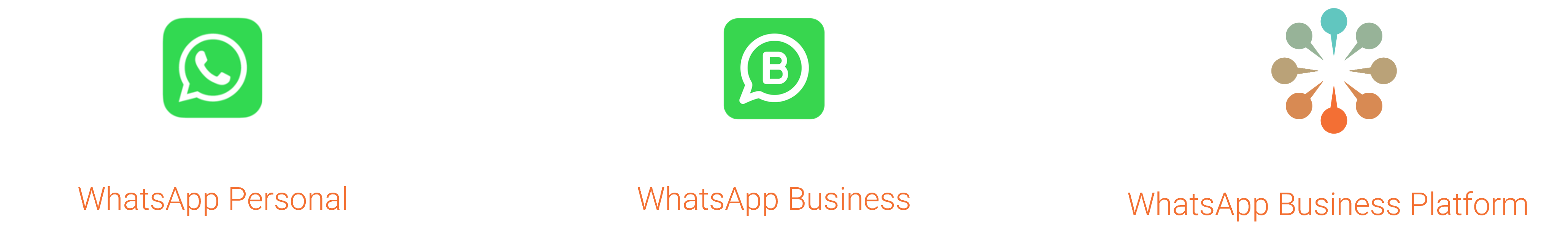 WhatApp Account types